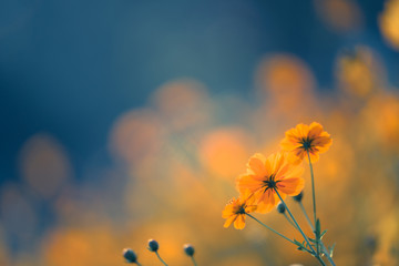 vv7是什么牌子的车多