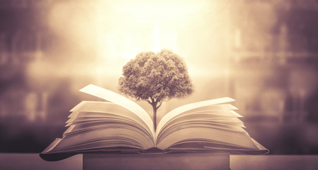 哪类人适合插电混动车？