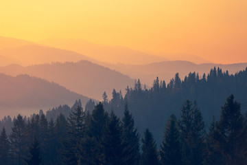汽车原地不熄火对车子有影响吗