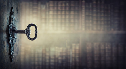 左转红灯的时候可以掉头吗