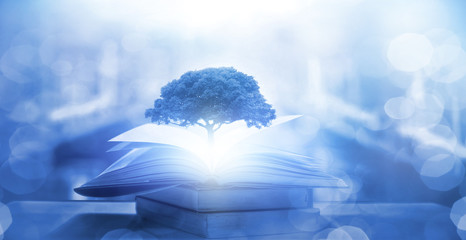 车速与档位匹配关系是什么