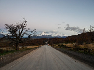 转子有望延续？