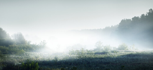 左转红灯的时候可以掉头吗