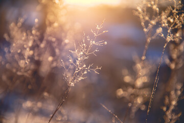 左转红灯的时候可以掉头吗