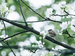 上汽大通新能源车车型