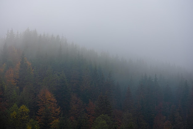 16款宝来仪表盘调时间的方法是什么