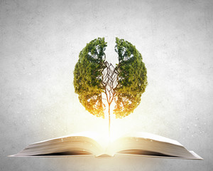 北京路边停车位全天收费标准