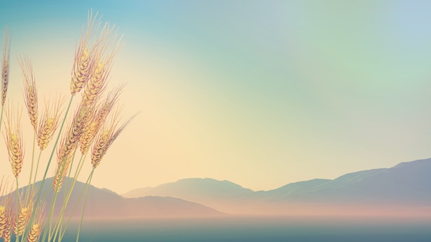 二手帕杰罗多少钱能买到