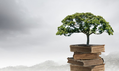 大型皮卡越野车