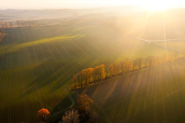 上汽大通新能源车车型