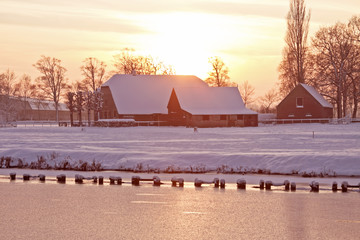 丰田考斯特什么驾照能开？