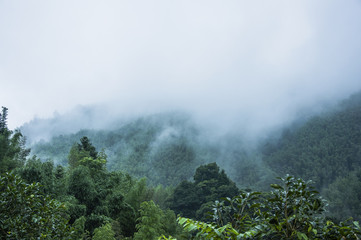 二手帕杰罗多少钱能买到